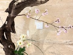 -九华山聚龙大酒店