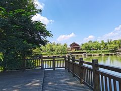 -常德桃花源景区