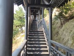 -石老人观光园