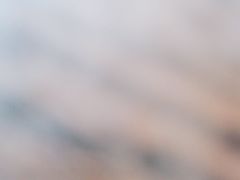 -天津包子铺·海鲜家常菜(北戴河店)