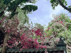 -深圳国际园林花卉博览园