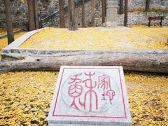 -阳台山自然风景区