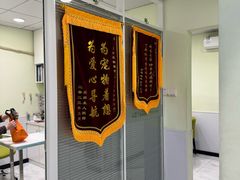 -艾吉宠物医院·疑难杂症转诊中心·猫友好(碧江路院)