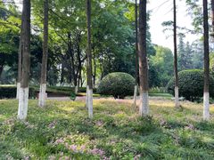 -后襄河公园