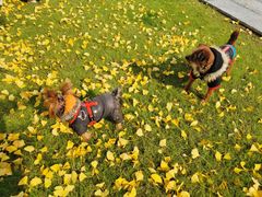 -漕河泾街道图书馆(漕河泾社区文化活动中心店)