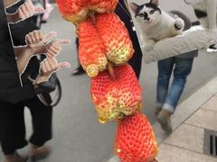 餐饮设施-上海欢乐谷