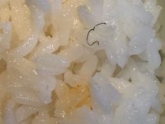 -蓉城小馆(科兴店)