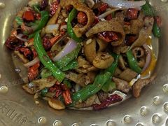 -天山醉美辣子鸡(文艺路店)