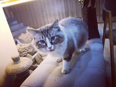 -白兔子密室(长寿路店)