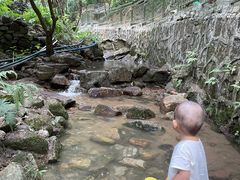 -火炉山森林公园