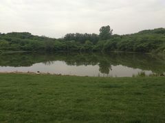 -盘龙城国家考古遗址公园