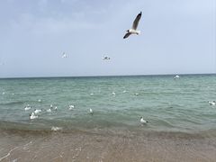 -青海湖二郎剑景区