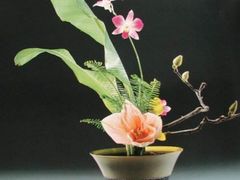 -天怡·鱼工厂(梅溪湖店)