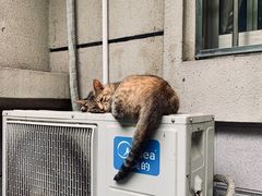 -南京航空航天大学(明故宫校区)