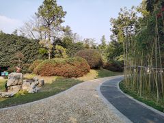 -菊花台公园