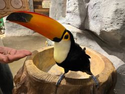 -Zoolung Zoolung动物主题公园(海信广场店)