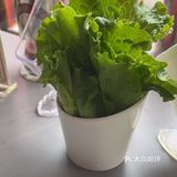 美味烤肉哦依稀