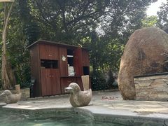 -碧水湾温泉