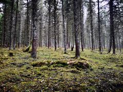 -硗碛藏寨·神木垒景区