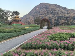 -广州市石门国家森林公园