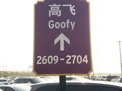 -迪士尼乐园停车场