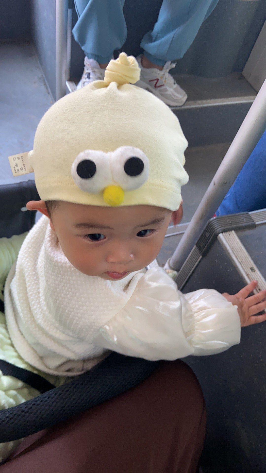 这样的萌萌的小毛孩可爱的不像话了