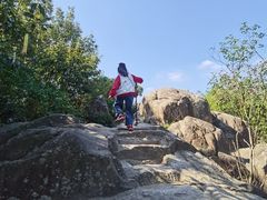 -灵岩山风景区