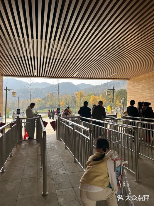 千年银杏谷文化旅游区图片