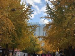 -辽宁大学(崇山校区)