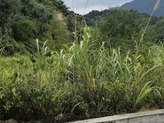 -千泷沟大瀑布旅游区