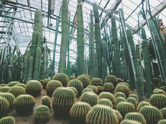 -南山植物园