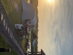 -春花秋色城市公园