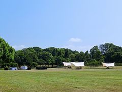 -福建鲤鱼洲酒店