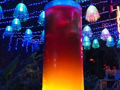 -猫头婴小酒馆FUN OWL(1912店)