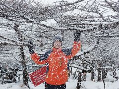 -秦岭风景区