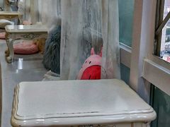 -共舞时光猫咖·狗咖(新街口店)