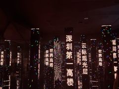 -平安金融中心云际观光层