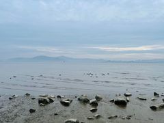 -深圳湾公园(南山区)