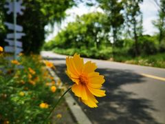 -同里国家湿地公园