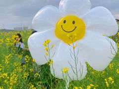 -光明小镇欢乐田园