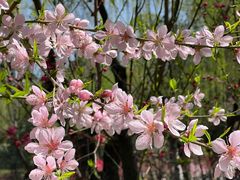 -木塔寺遗址生态公园