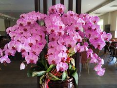 -佛光山朝山会馆