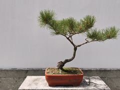 -金庸书院