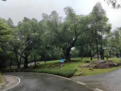 -广州市白云山风景名胜区