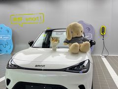 -上海浦东smart汽车全功能店(金桥店)