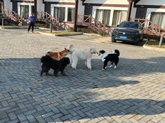 -太阳岛度假酒店