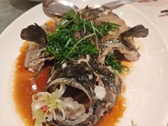 -金悦轩海鲜酒家(拱北店)