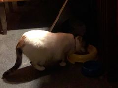 -江湖边·小生活