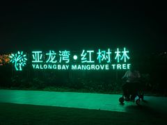 -三亚亚龙湾红树林度假酒店