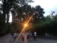-西安市长乐公园